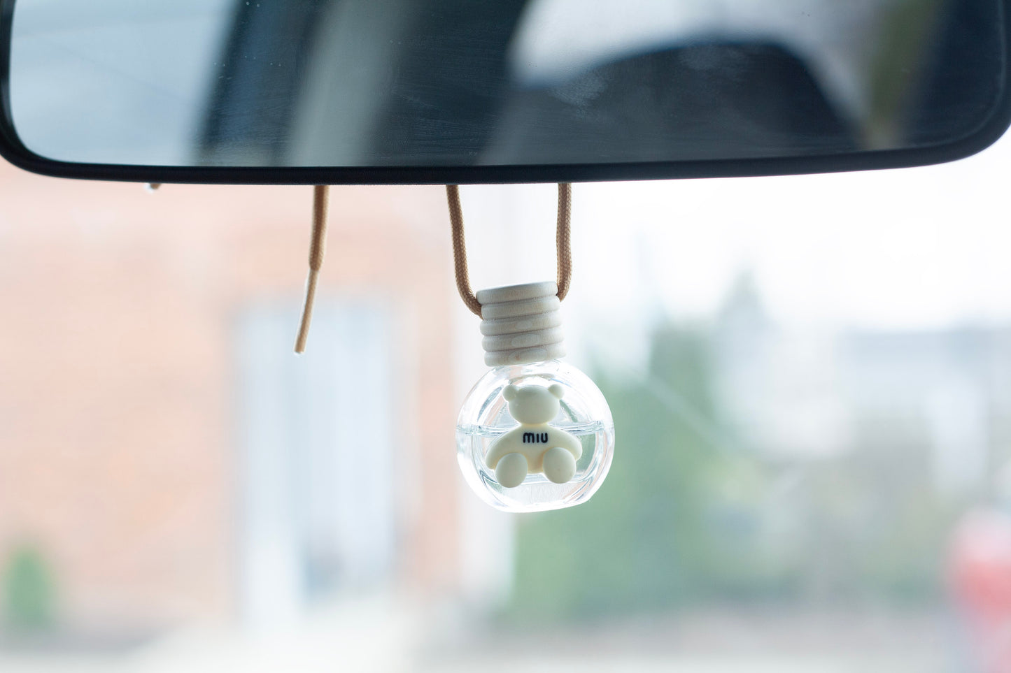 Hanging Car Diffuser